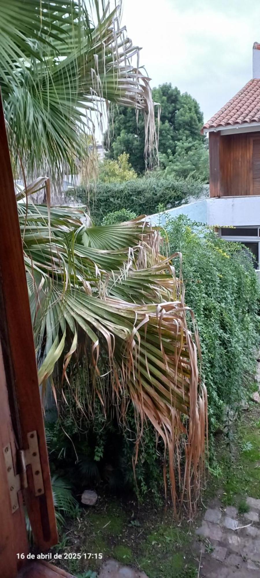 Ezeiza Bed And Breakfast Dış mekan fotoğraf